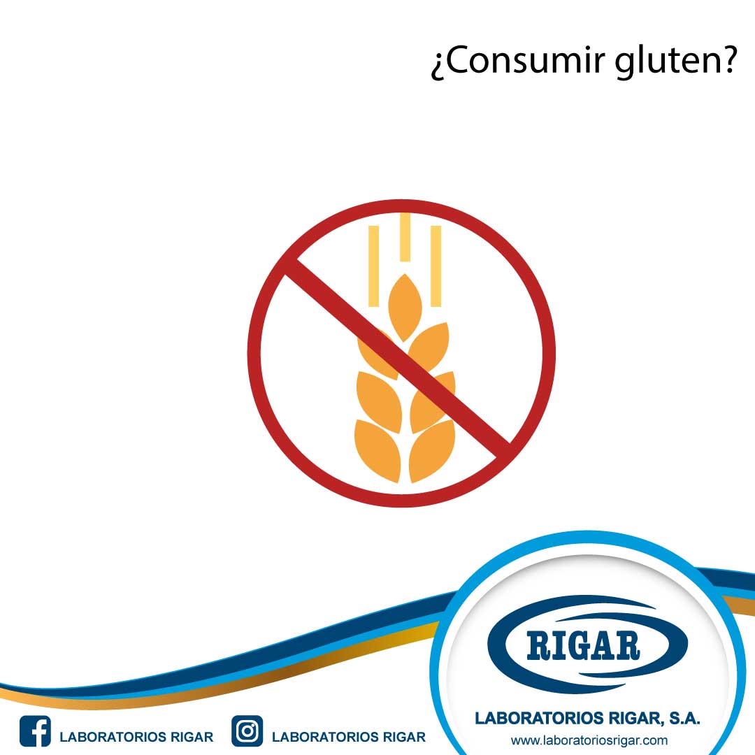 ¿Comer Gluten o no?