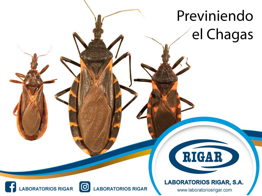 Previniendo el Chagas